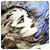 Avatar de Accurcisy