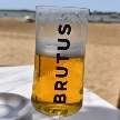 Avatar de Campoamor31