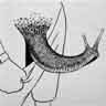 Avatar de caracol00