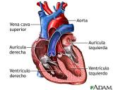 Avatar de cardiologo