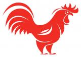 Avatar de GalloColorado