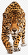 Avatar de Gatero38