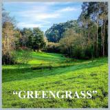 Avatar de greengrass