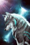 Avatar de Lobo-90