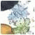 Avatar de Louisbam