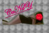 Avatar de nenitasardientes