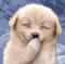 Avatar de nicegentleman