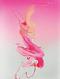 Avatar de Pinkflow
