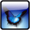 Avatar de searFremi