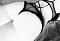Avatar de Sofia_moncada