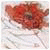 Avatar de SuennySor