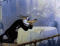 Avatar de Wolfcarzy